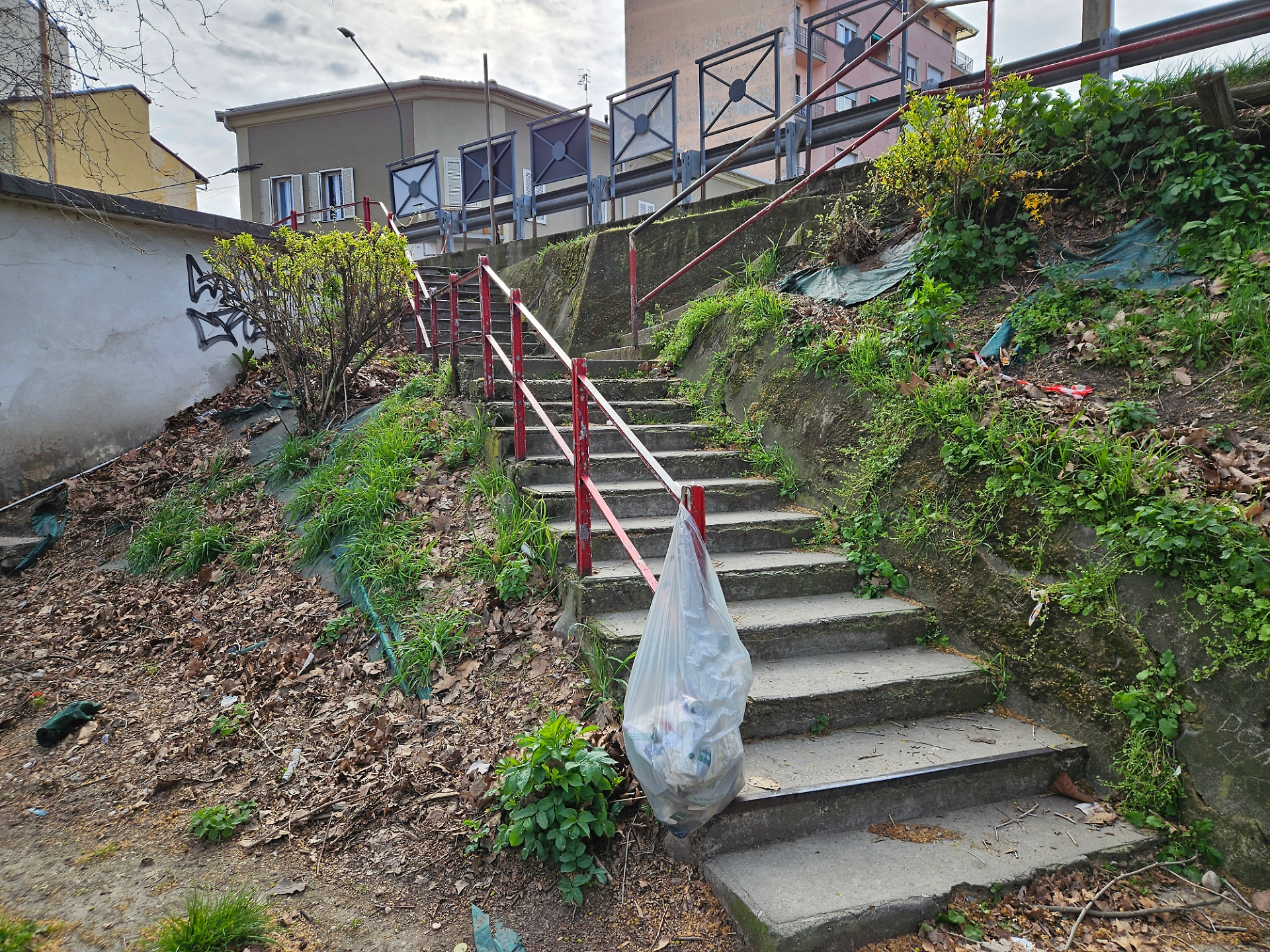 scalinate piazza del palio