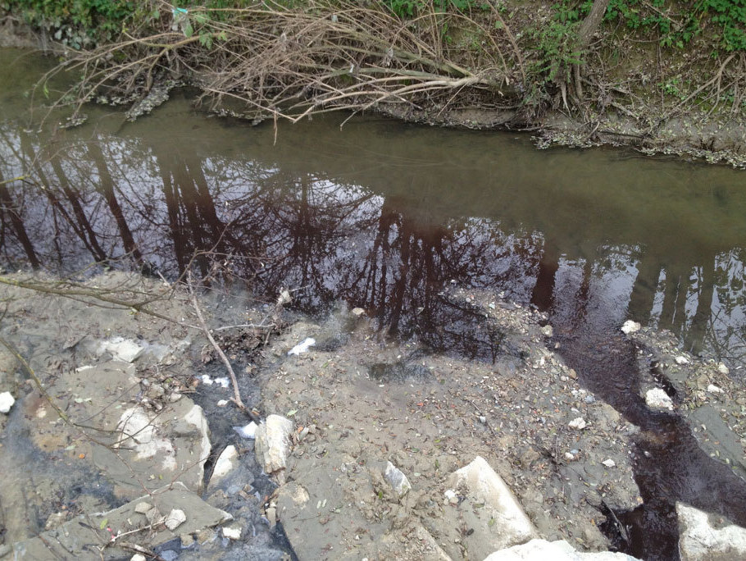 Boglietto: rio Tinella "inquinato"