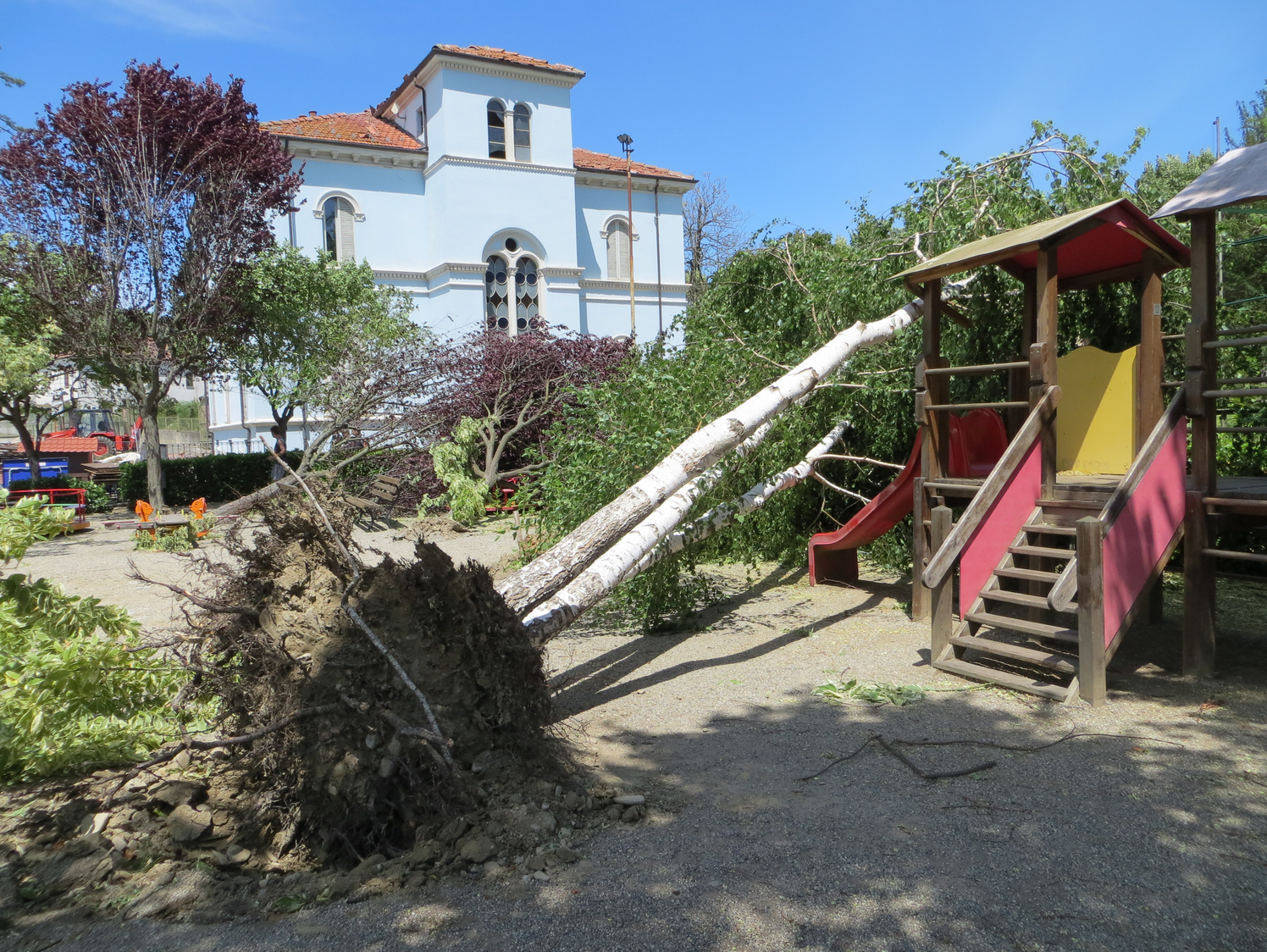 Bubbio, "è un disastro": pini sradicatie tetti traballanti, la chiesa è chiusa