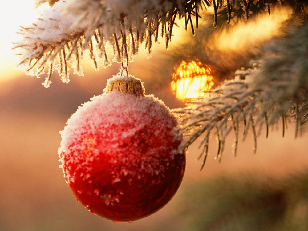 Immagini Natale Religiose.E Natale Tradizioni Religiose E Laiche Della Festa Piu Attesa La Nuova Provincia