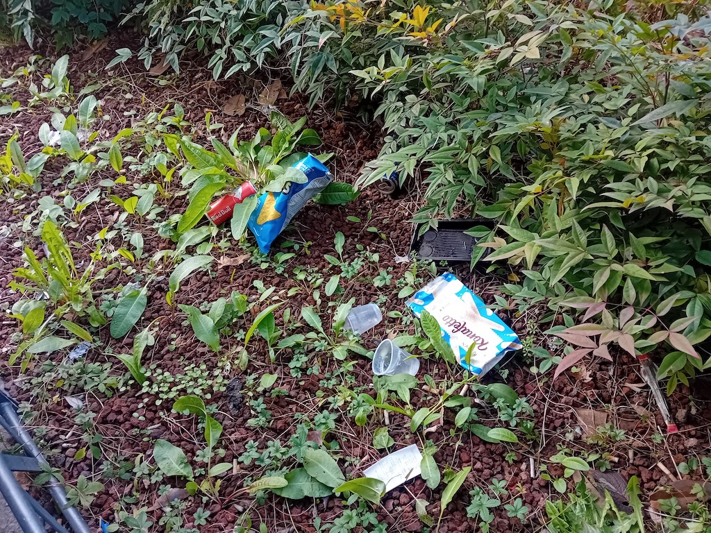 Area verde piazza Martiri della Liberazione Area verde piazza Martiri della Liberazione