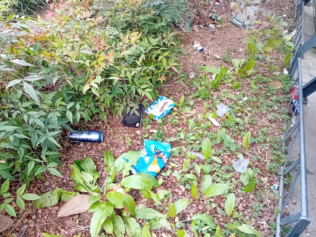 Area verde piazza Martiri della Liberazione Area verde piazza Martiri della Liberazione