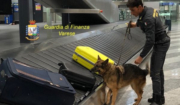 guardia di finanza malpensa