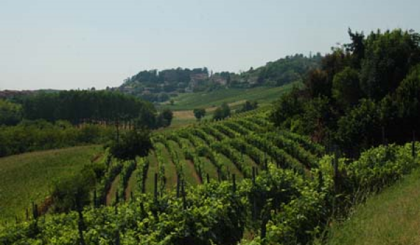 san martino alfieri