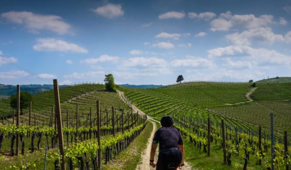Man,Riding,On,A,Mountain,Bike,On,Langhe,Hills