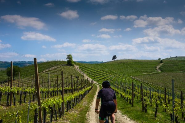 Man,Riding,On,A,Mountain,Bike,On,Langhe,Hills