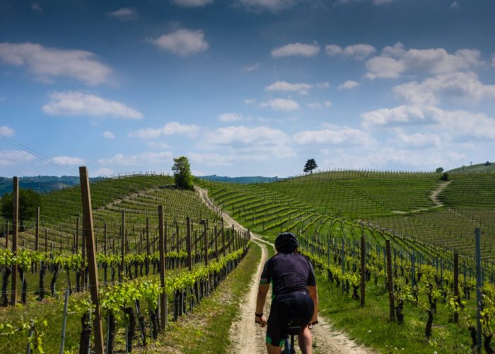 Man,Riding,On,A,Mountain,Bike,On,Langhe,Hills