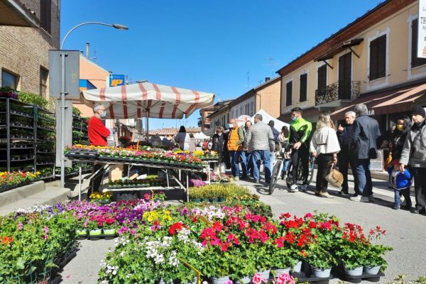 motta ortogiardinovino fiori 2022