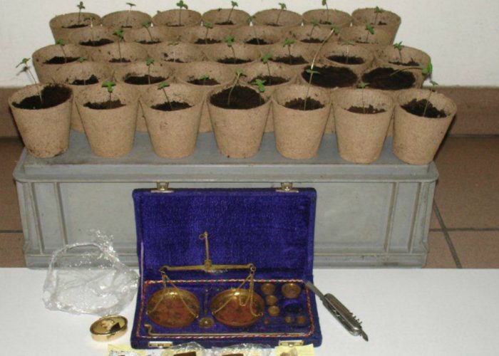39g di hashish e 32 piante di marijuana in casa: arrestato pregiudicato nicese