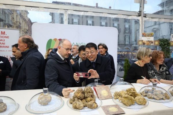 404241273_3310252852616465_6607082822190325341_n