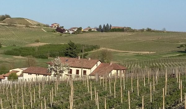 Piano di sviluppo rurale della Regione