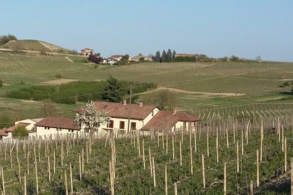Piano di sviluppo rurale della Regione