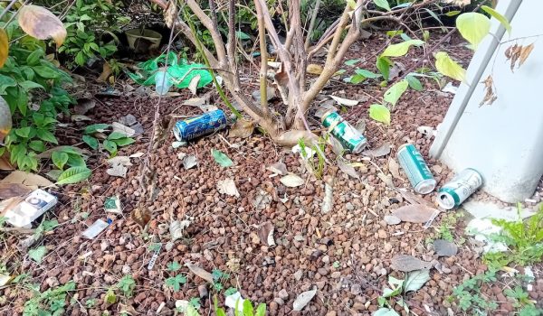 Area verde piazza Martiri della Liberazione