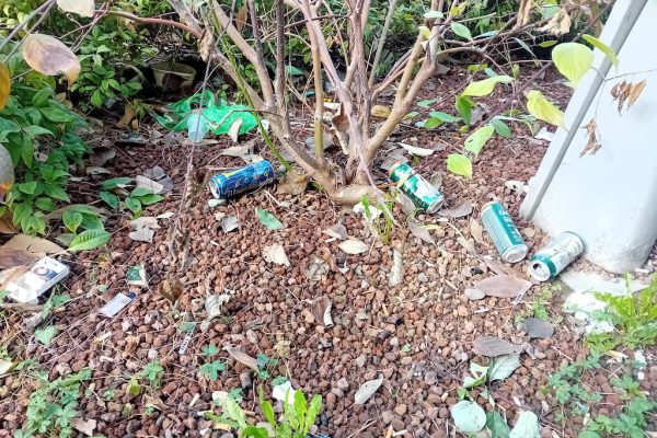 Area verde piazza Martiri della Liberazione