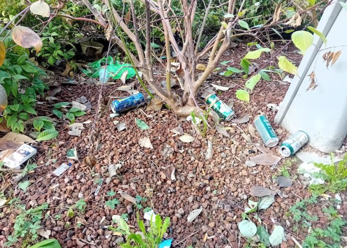 Area verde piazza Martiri della Liberazione