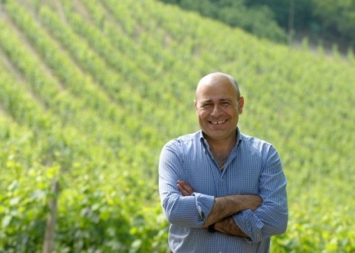 Barbera d'Asti: una vendemmia da incorniciare