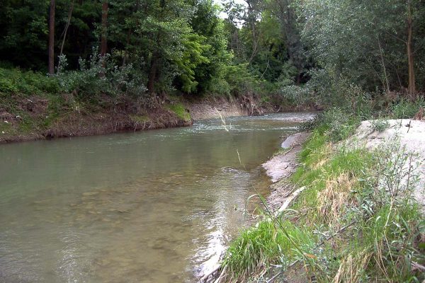 Il torrente Belbo oggetto di discussione in Consiglio comunale a Nizza