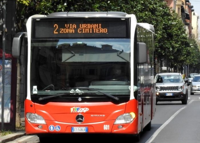 Bus