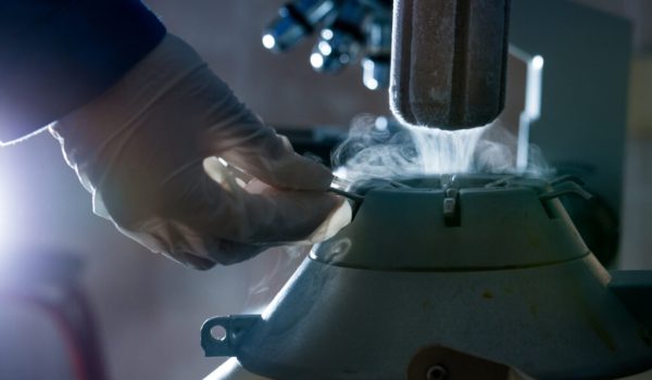 Close up of liquid nitrogen tank for bull sperm used for artificial insemination. Frozen bovine semen container