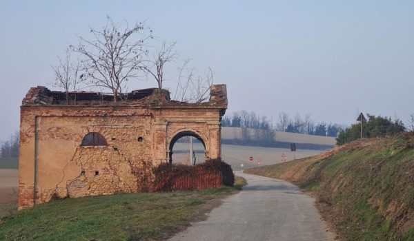 Callia