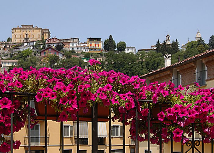 Canelli in fiore