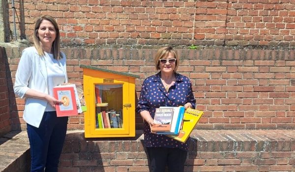 Casette dei libri