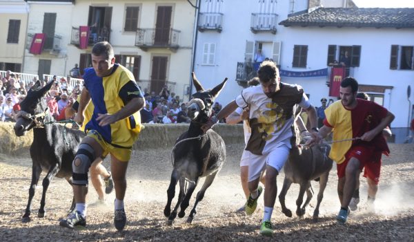 Un momento della corsa degli asini di Cocconato