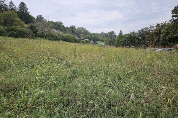 Com'è oggi il parco fruttuoso