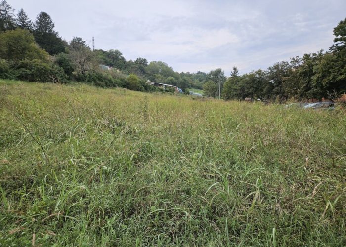 Com'è oggi il parco fruttuoso