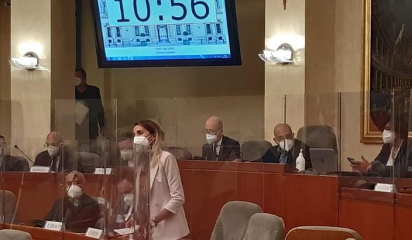 L'intervento dell'assessore Chiorino al Consiglio regionale