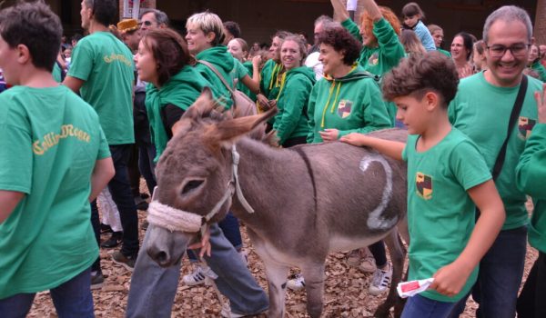 cocconato palio asini 2024