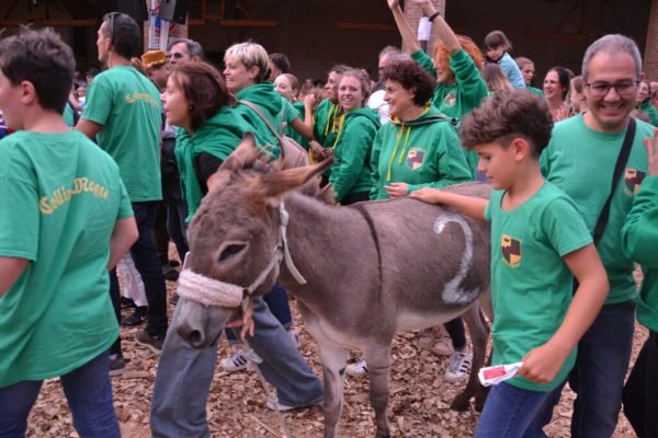 cocconato palio asini 2024