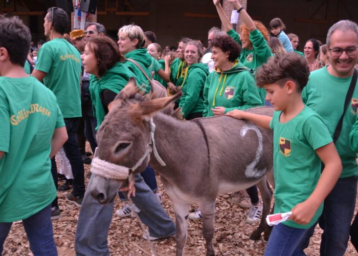 cocconato palio asini 2024