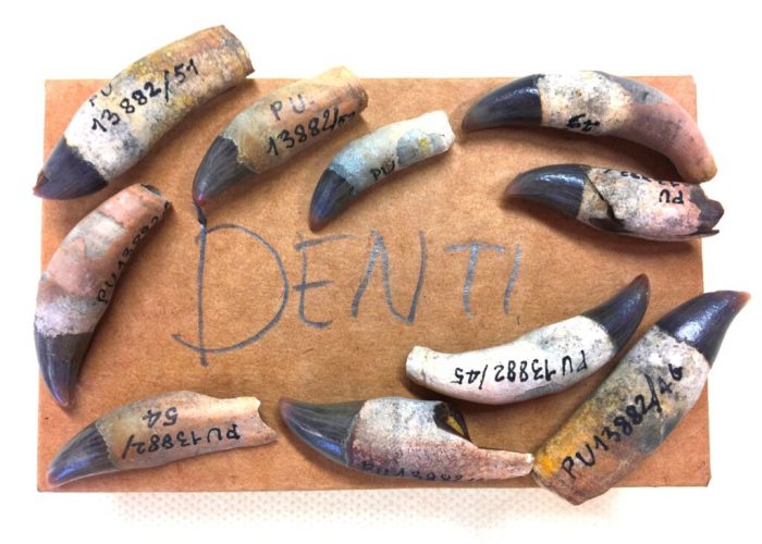 Denti