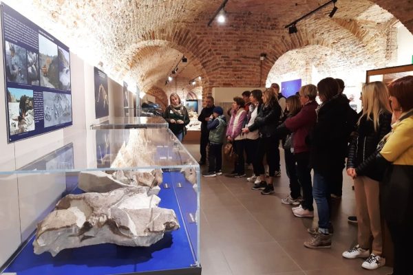 Docenti al Museo paleontologico