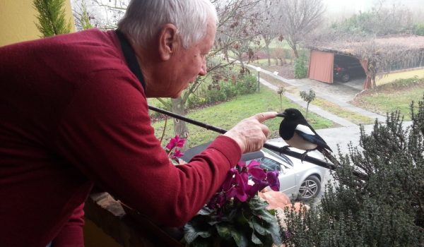 FRANCO FRANCESCATO con gazza