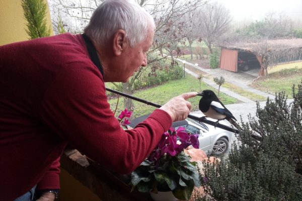 FRANCO FRANCESCATO con gazza