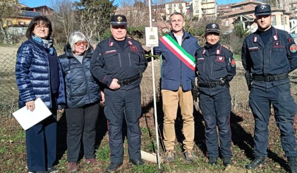 Festa dell'albero mombercelli