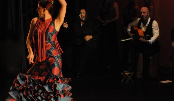 Una serata di flamenco