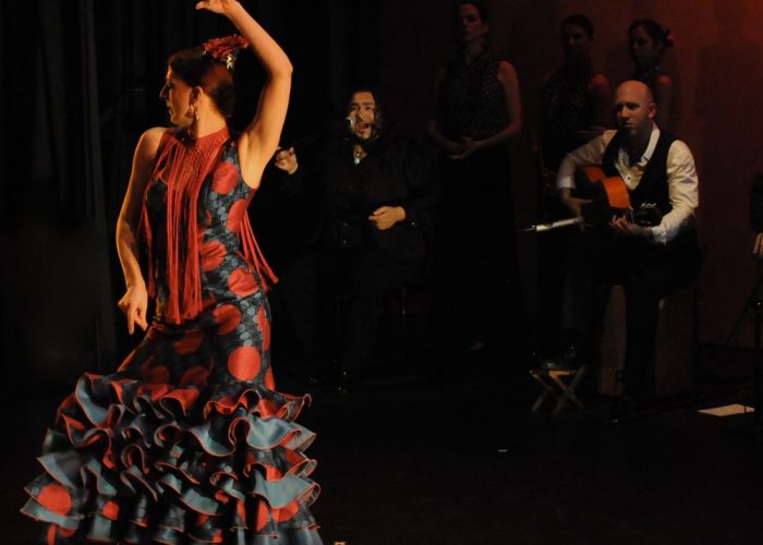 Una serata di flamenco