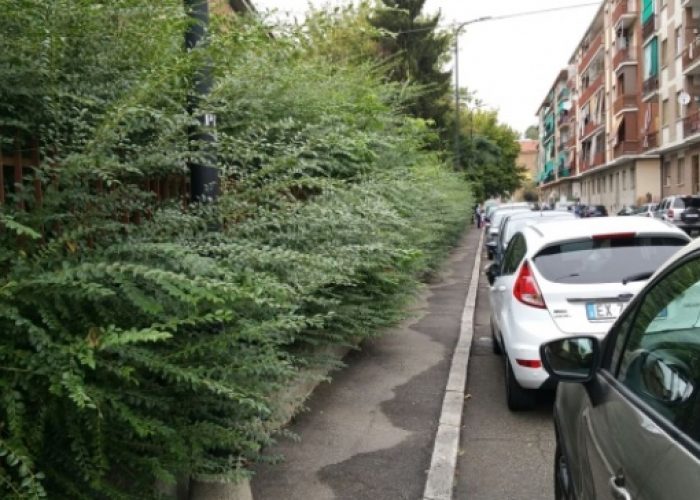 Genitori giardinieri per il decoro della scuola