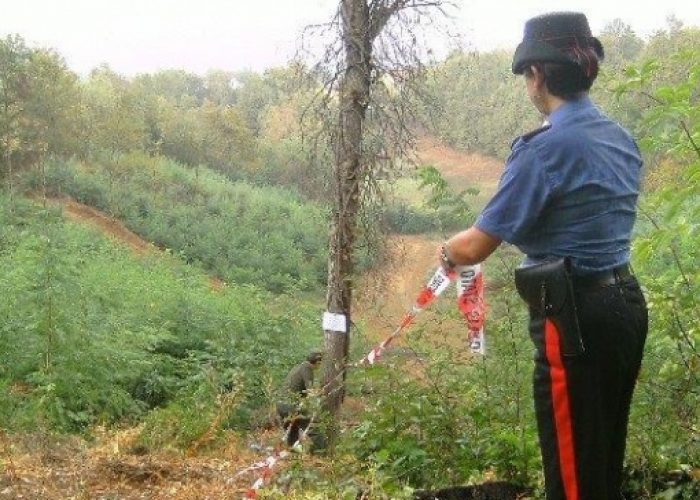 I carabinieri sequestrano area boschiva a Rocchetta