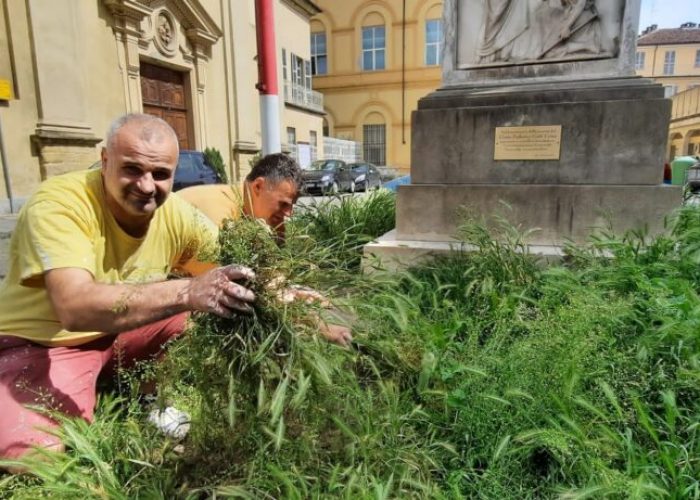 Michele Pali Montiglio Monferrato monumento guerrilla gardening