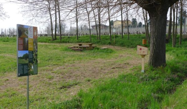 costigliole d'asti cascina castlèt picnic