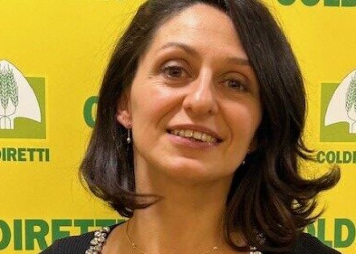 MONICA MONTICONE