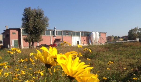 Malteria Monferrato fiore