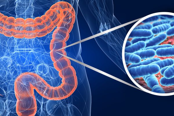Il "microbiota" intestinale