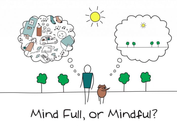 Mind Full or Mindful