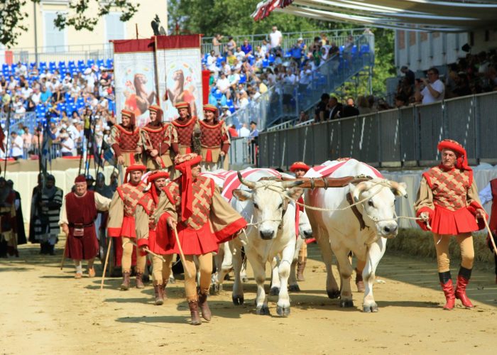 Momenti di Palio di Asti 201907