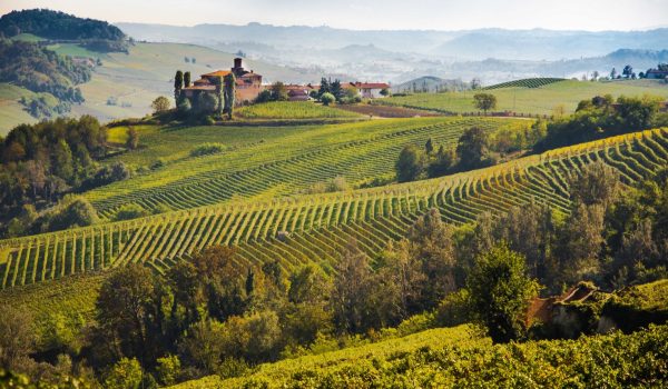 La bellezza del Monferrato  nella foto panoramica